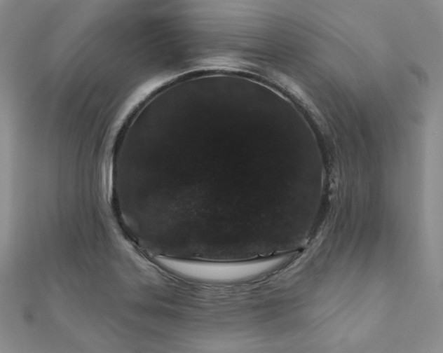 X0000110921323200906181400