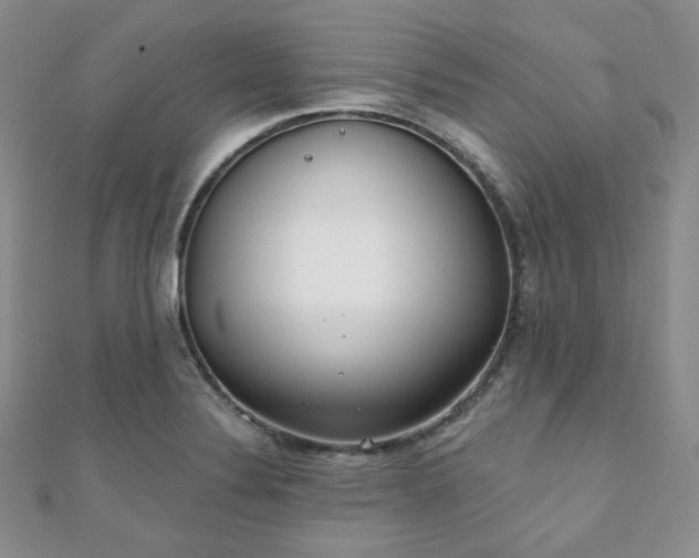 X0000110921324200906181400