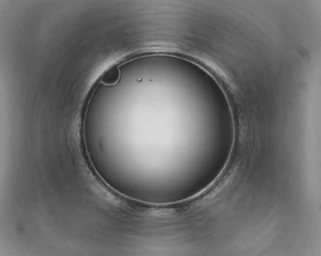 X0000110921325200906181400