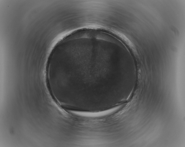 X0000110921327200906181400