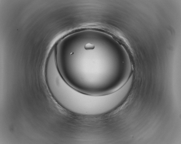 X0000110921328200906181400