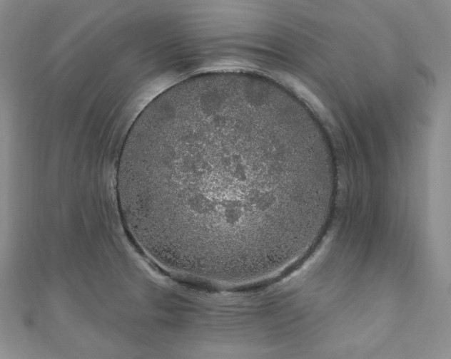 X0000110921329200906181400