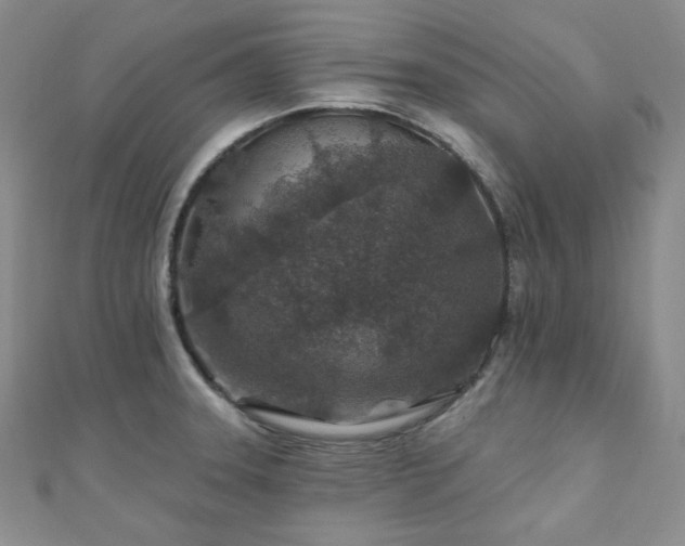 X0000110921331200906181400