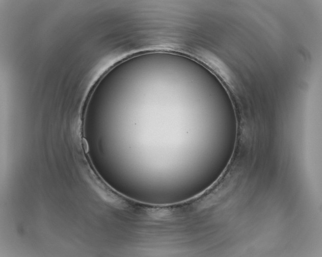 X0000110921332200906181400