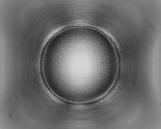 X0000110921333200906181400