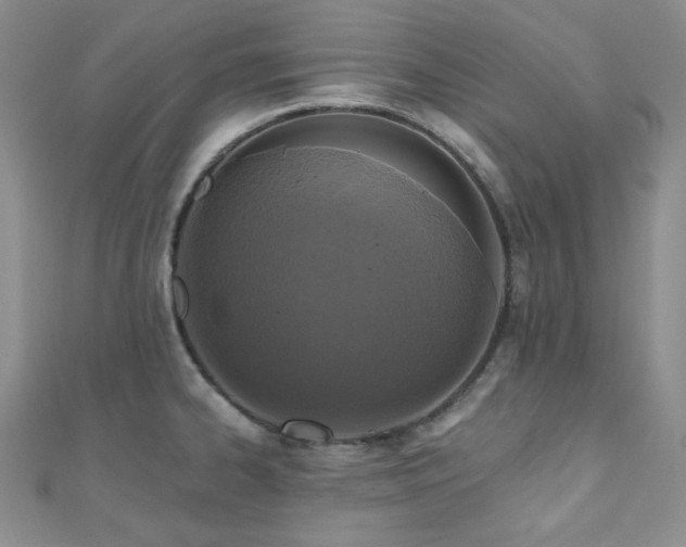 X0000110921334200906181400