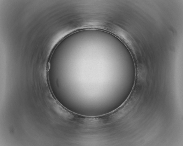 X0000110921336200906181400