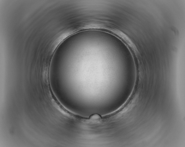 X0000110921337200906181400