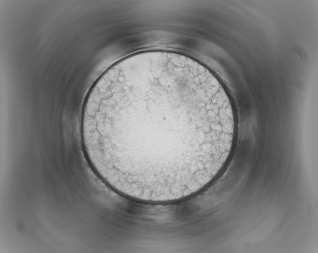 X0000110921338200906181400