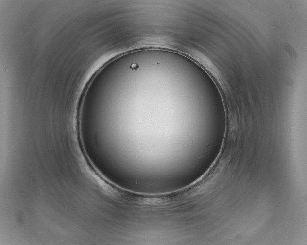 X0000110921339200906181400