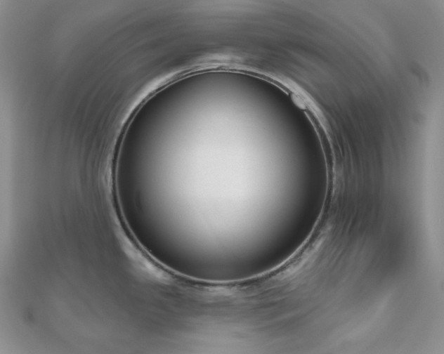 X0000110921341200906181401