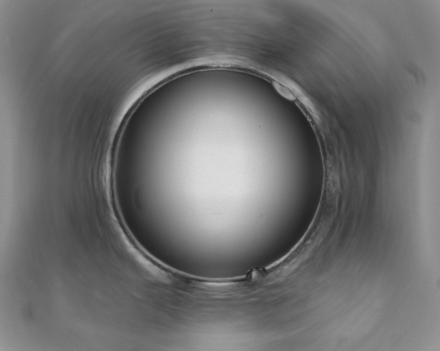 X0000110921343200906181401