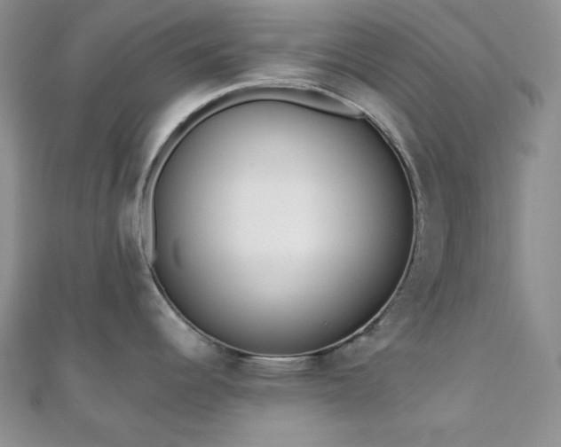 X0000110921344200906181401