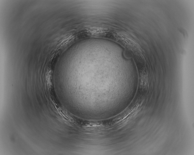 X0000110921346200906181400