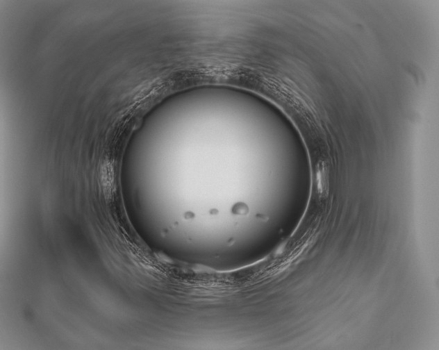 X0000110921347200906181400