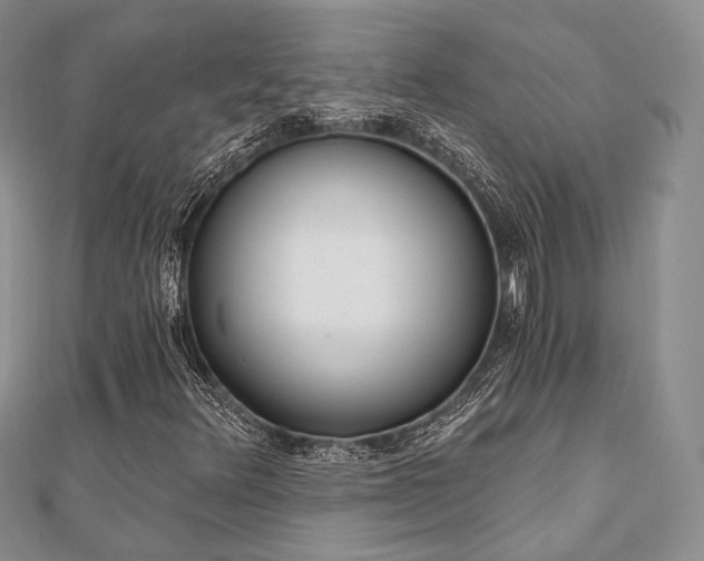 X0000110921348200906181400