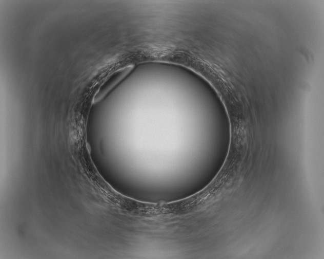 X0000110921349200906181400