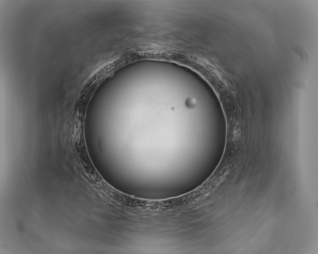 X0000110921350200906181400