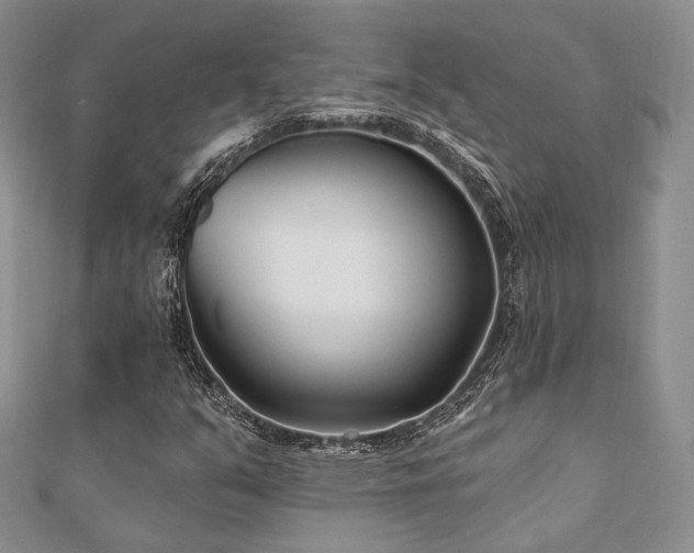 X0000110921351200906181400