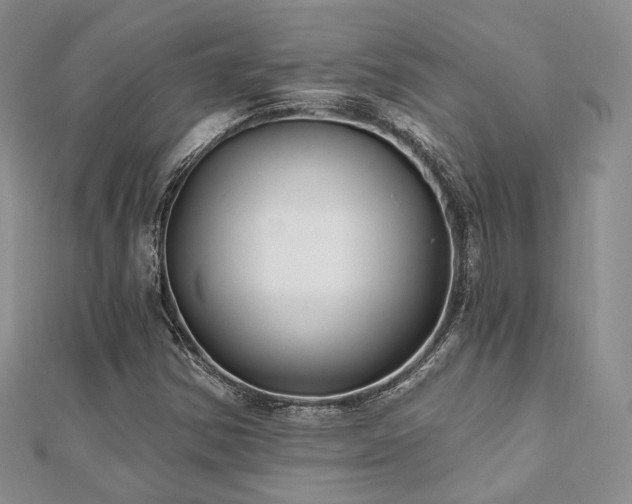 X0000110921354200906181400