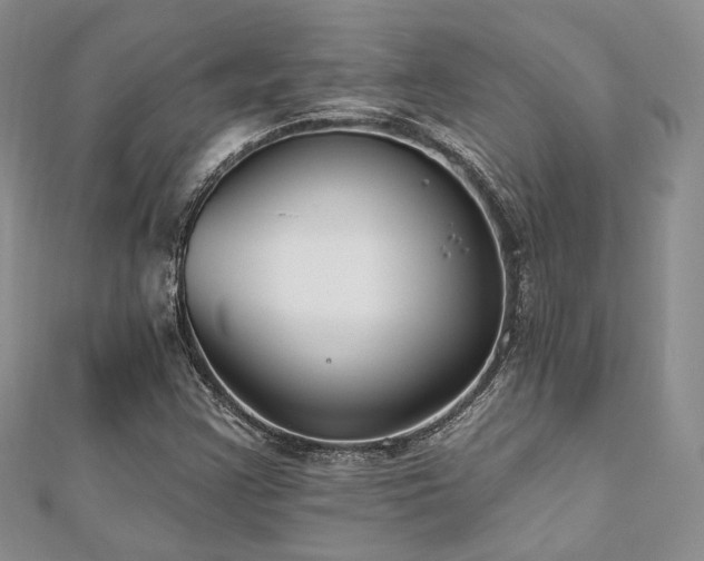 X0000110921355200906181400