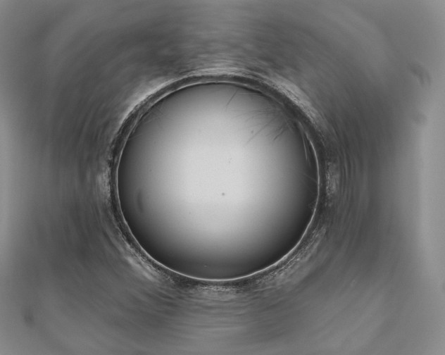 X0000110921356200906181400