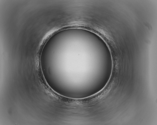 X0000110921358200906181400