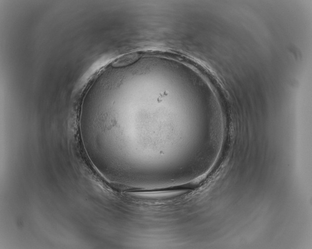 X0000110921359200906181400