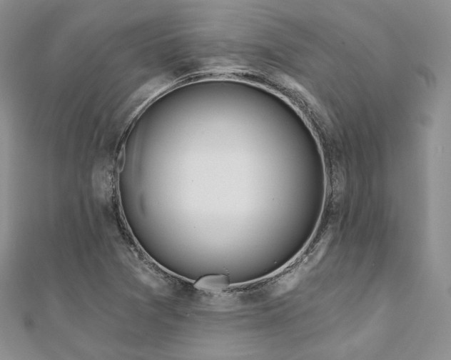 X0000110921361200906181400