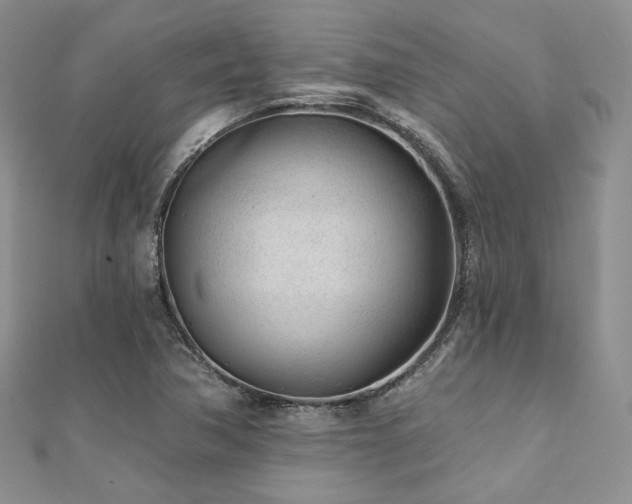 X0000110921362200906181400