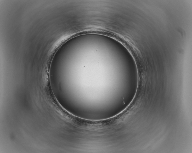 X0000110921363200906181400