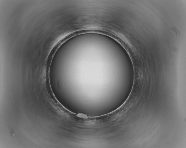X0000110921364200906181400