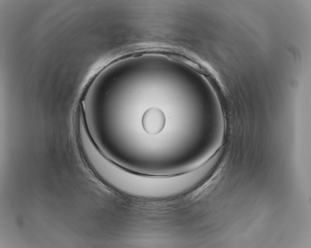 X0000110921365200906181400