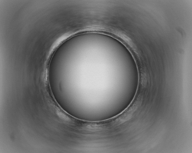 X0000110921366200906181400