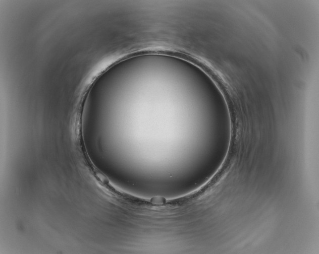 X0000110921367200906181400