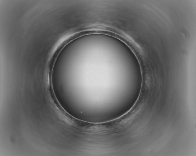 X0000110921368200906181400