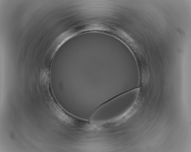 X0000110921369200906181400