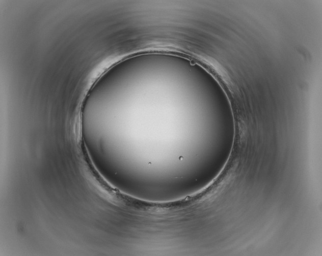 X0000110921371200906181400