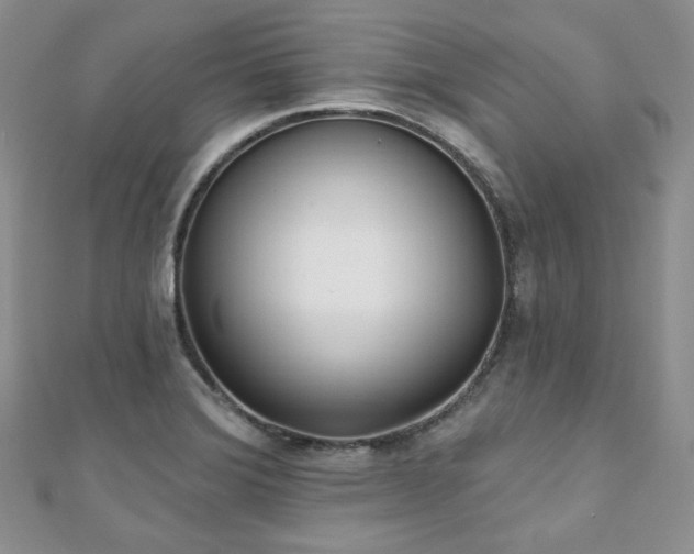 X0000110921372200906181400
