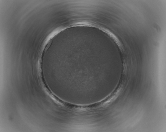 X0000110921373200906181400