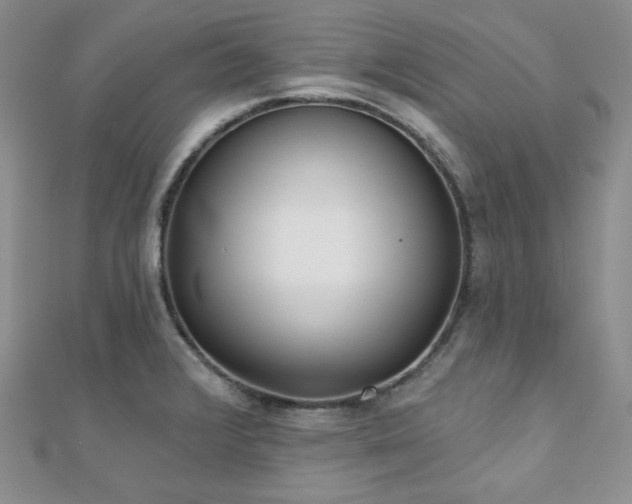 X0000110921376200906181359