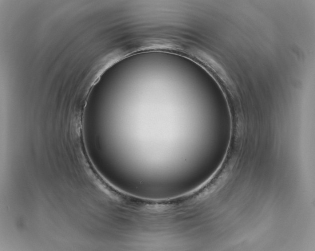 X0000110921377200906181359