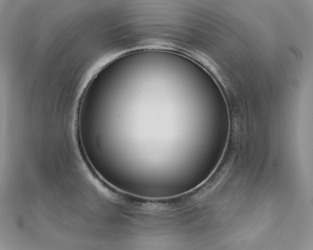 X0000110921379200906181359
