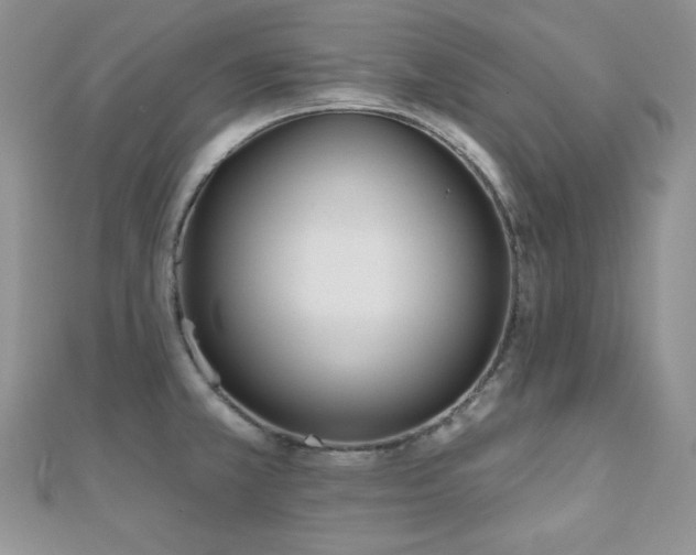 X0000110921381200906181359
