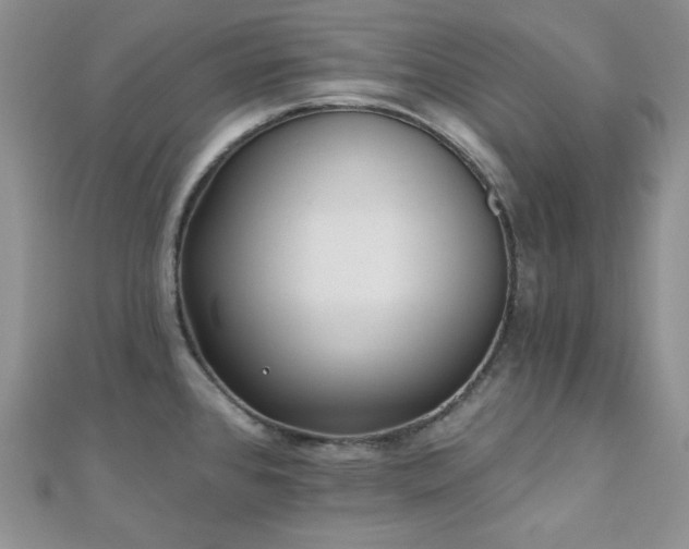 X0000110921384200906181359