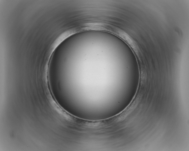 X0000110921386200906181359
