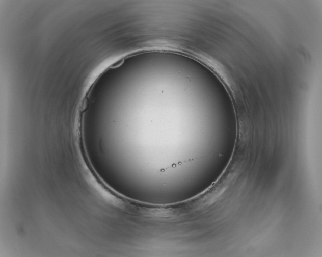 X0000110921387200906181359