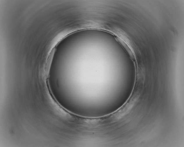 X0000110921389200906181359
