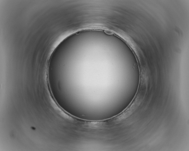 X0000110921390200906181359