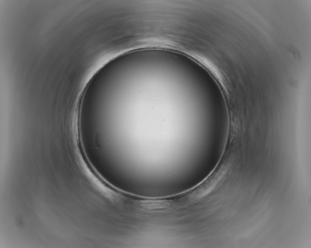 X0000110921391200906181359